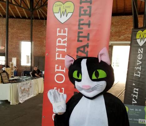 fire department fundraising, animal shelter fundraising, fire rescue fundraising, fire departments, fire rescue, animal shelter, doctors, veterinarians, clinics, senior living facilities, non profit agencies